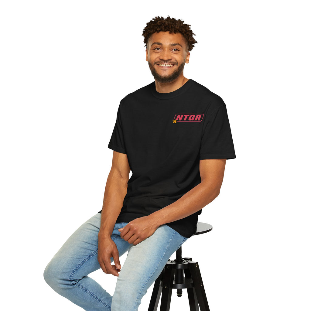 NTGR Advice Tee