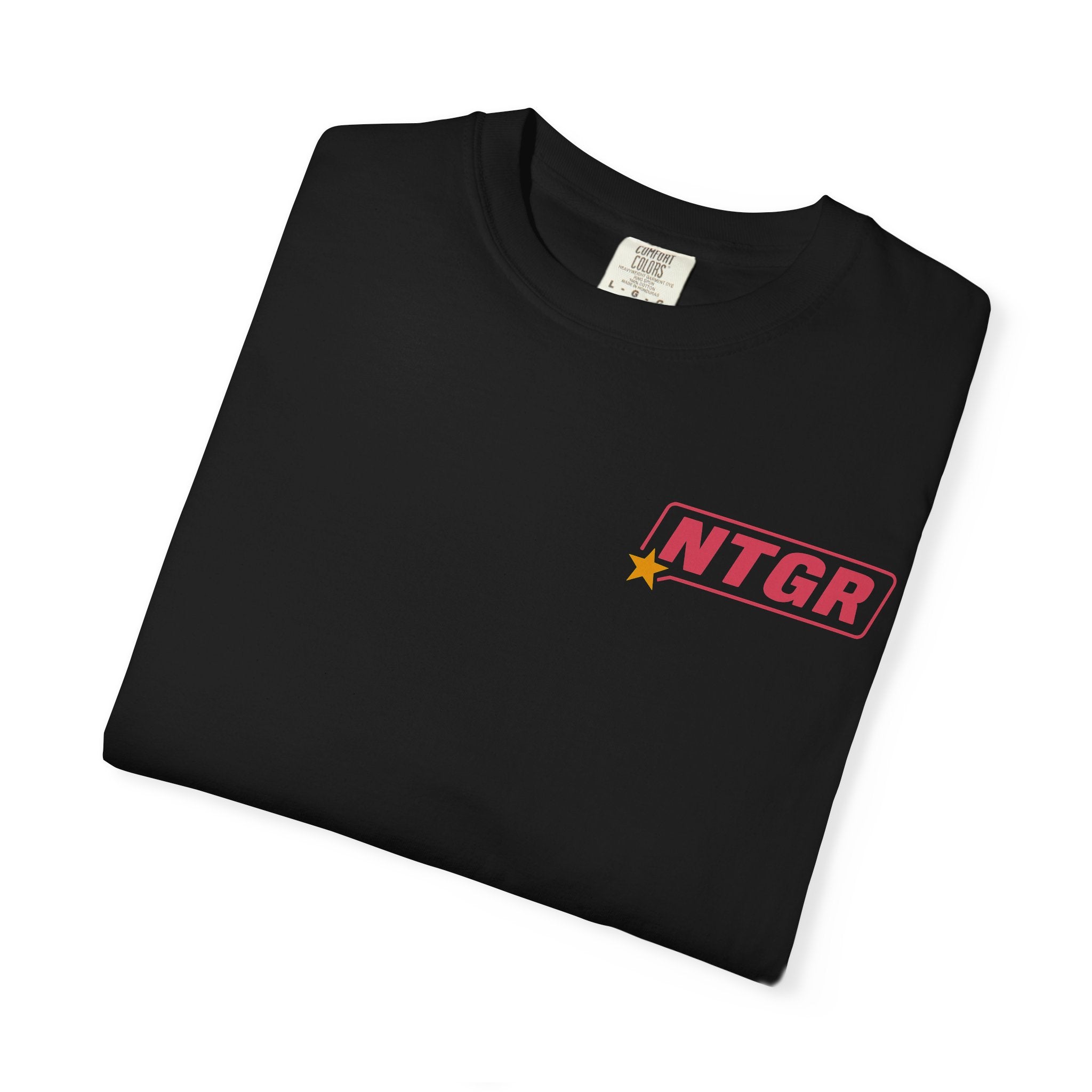 NTGR Advice Tee