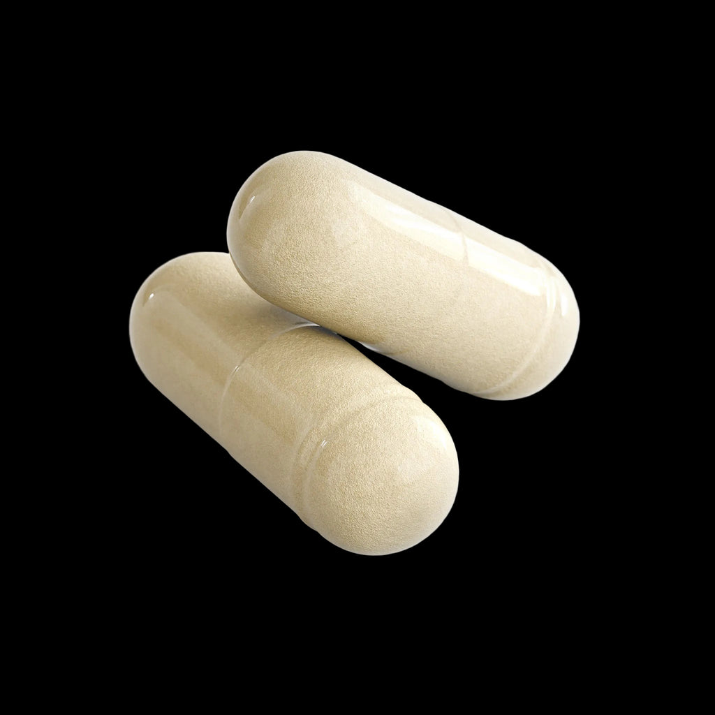 NTGR +Health GUT : Digestive Enzyme Formula