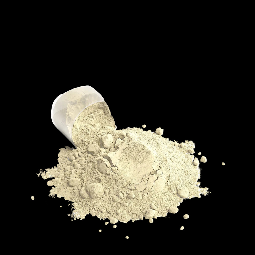 NTGRx Performance Labs REBUILD: Performance Whey Protein Blend (Vanilla Bean)