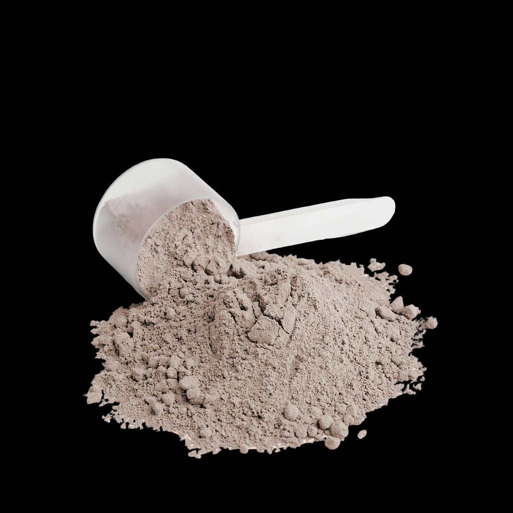 NTGR +Health Advanced 100% Whey Isolate Protein (Chocolate Ganache)